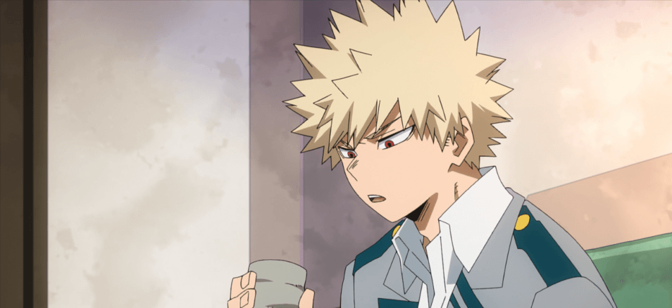 My Hero Academia 100